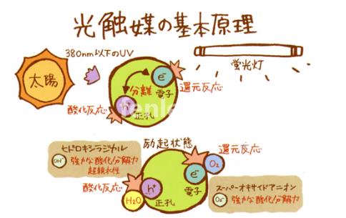 绥化专业保洁公司承接开荒外墙地毯家电除甲醛灭鼠等保洁业务